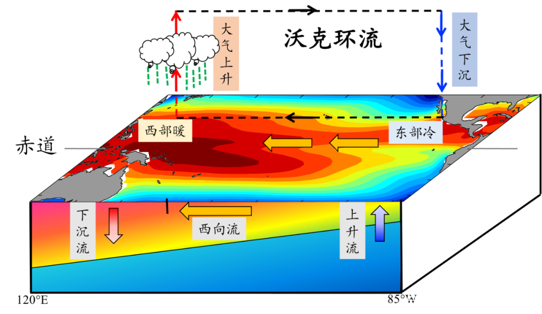 讲解！拉尼娜现象的成因“典则俊雅”