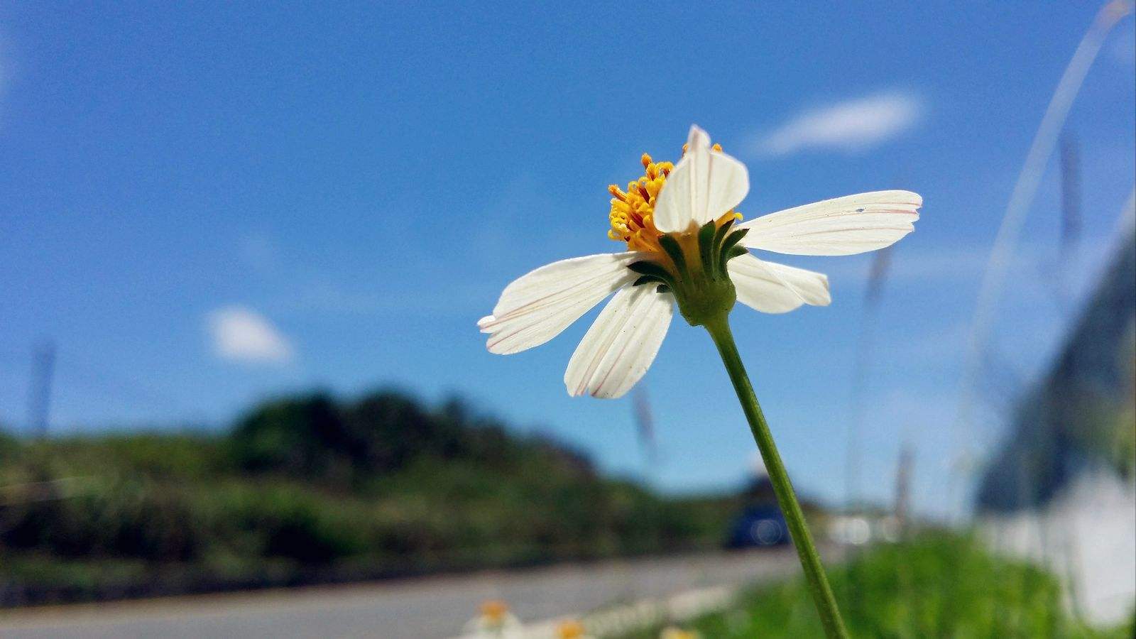 达人分享！15毫秒“空谷幽兰”