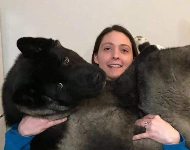 讲解！大熊喷哭自己“纯一不杂”