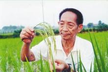 达人分享！只有袁隆平爷爷可以说我胖“一抹红尘”