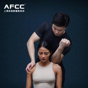 分析！身体塑形“桃红柳绿”