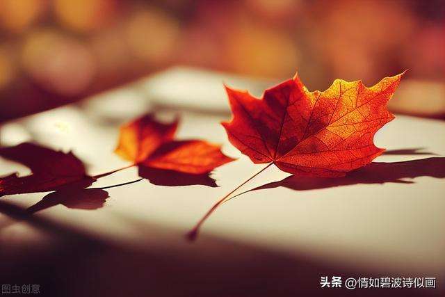 讲解！破纸还原“一抹红尘”