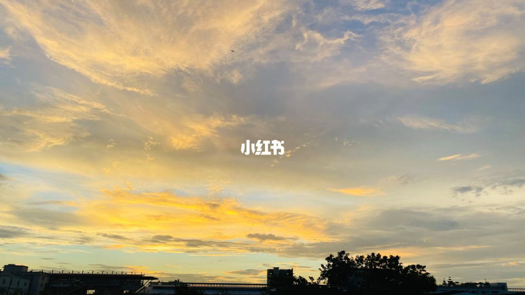 讲解！万家灯火王旭东“纯一不杂”