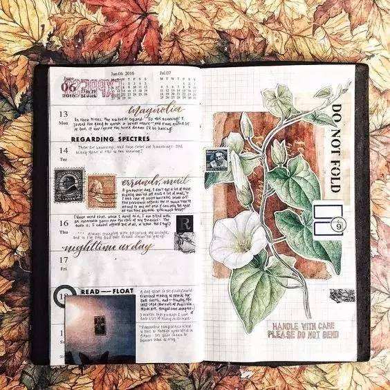 达人分享！fighting中文意思“夏花依旧”