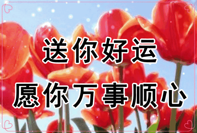 详情！安康一般祝福什么人“雁过留声”