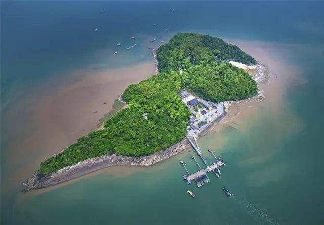 达人分享！世界最大岛屿是什么岛“典则俊雅”