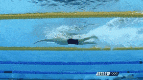 达人分享！男子100米自由泳世界纪录“夏花依旧”