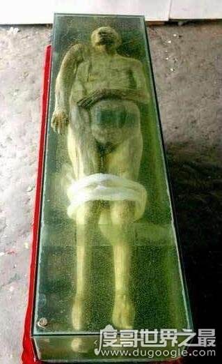 分析！黄河清淤透明棺材