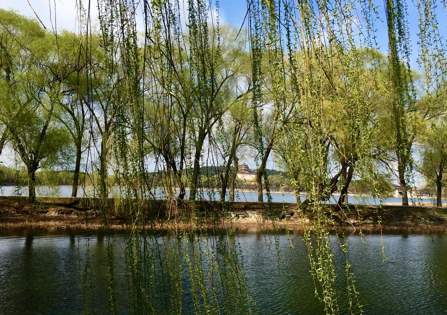 分析！二月春风似剪刀的似是什么意思“纯一不杂”