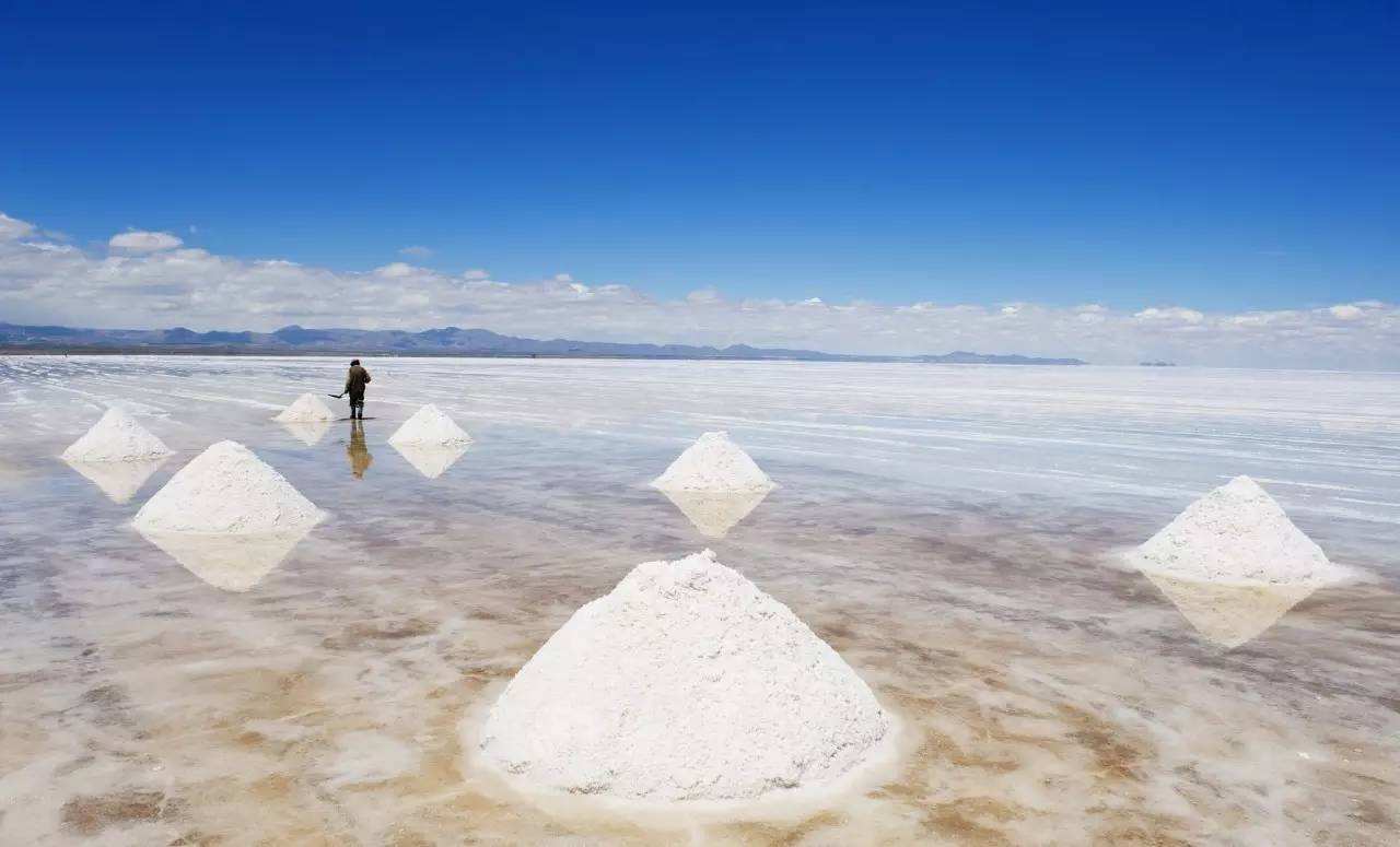 讲解！煮海歌中主要涉及什么人“夏花依旧”