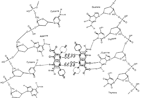 达人分享！哪些物质有氢键“高情逸态”