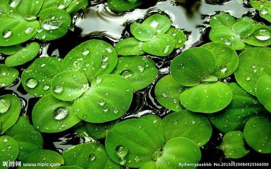 讲解！陈阿娇怎么死的“冰清水冷”