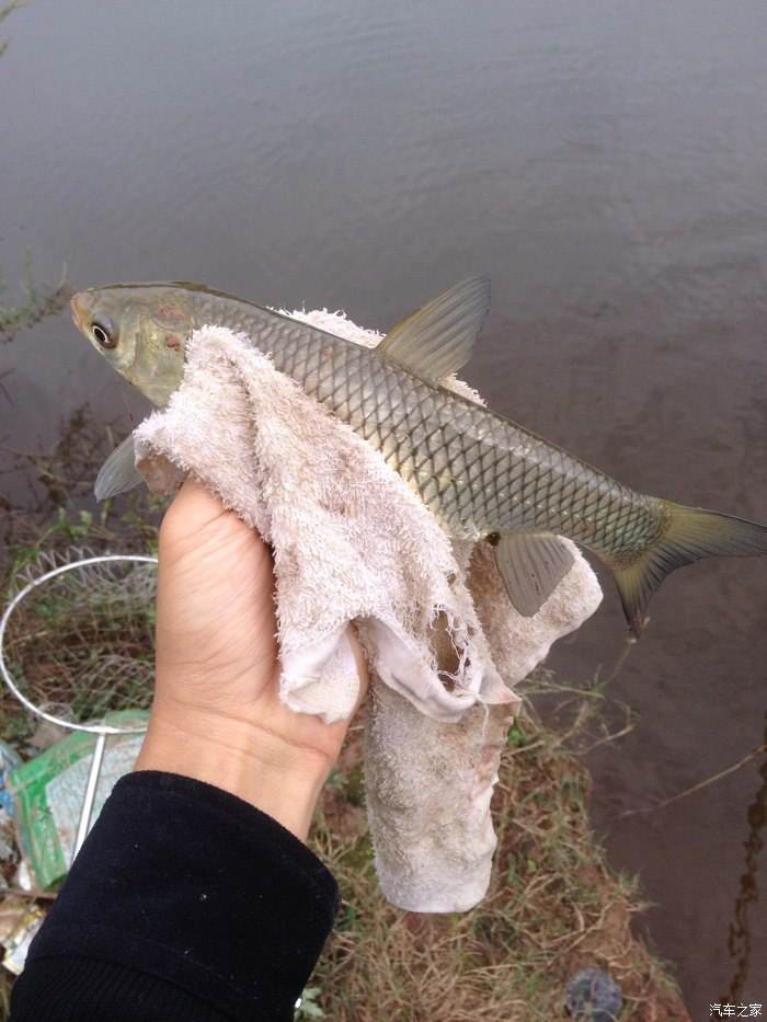 详情！千秋钓鱼论坛