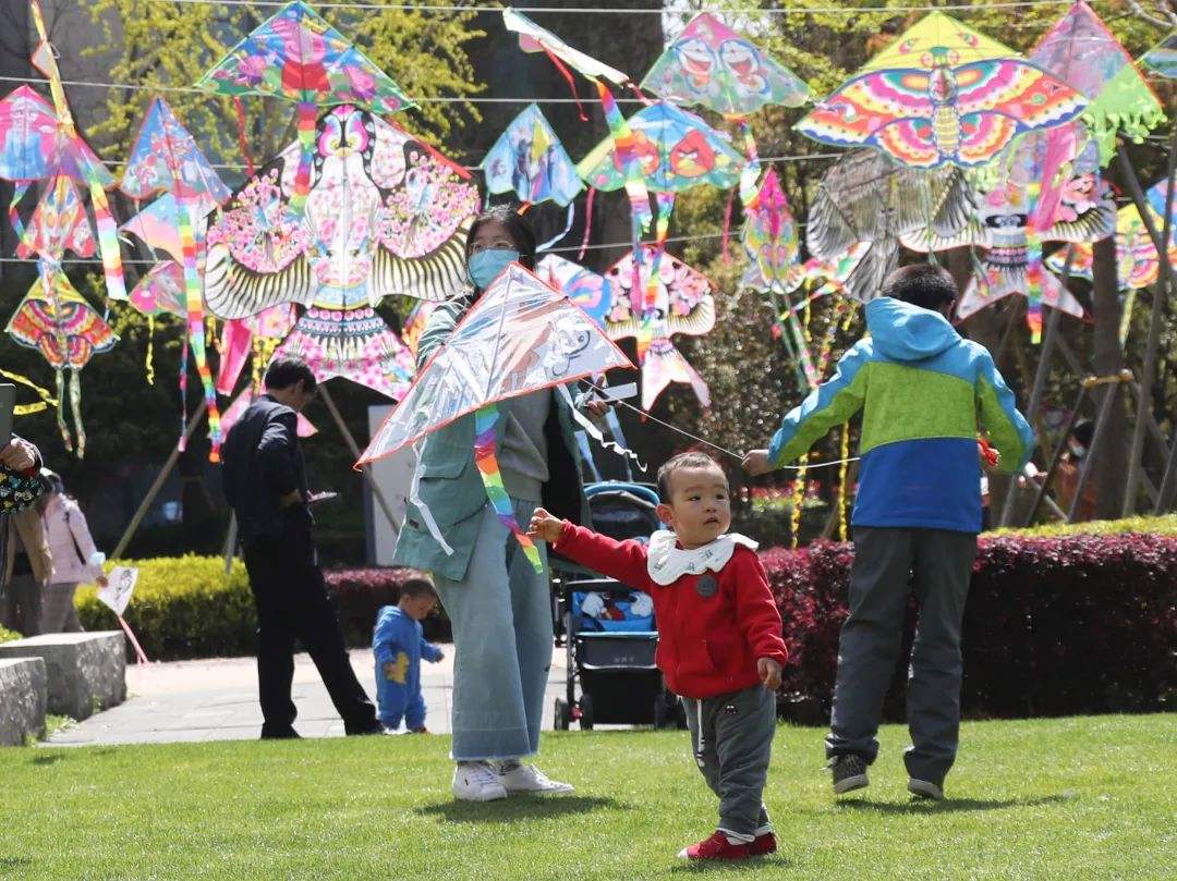 分析！纸鸢的鸢是指什么“桃红柳绿”