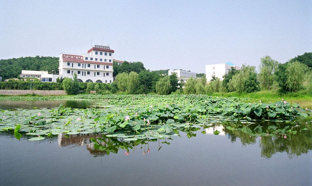 讲解！沈阳市第二十中学“高情逸态”