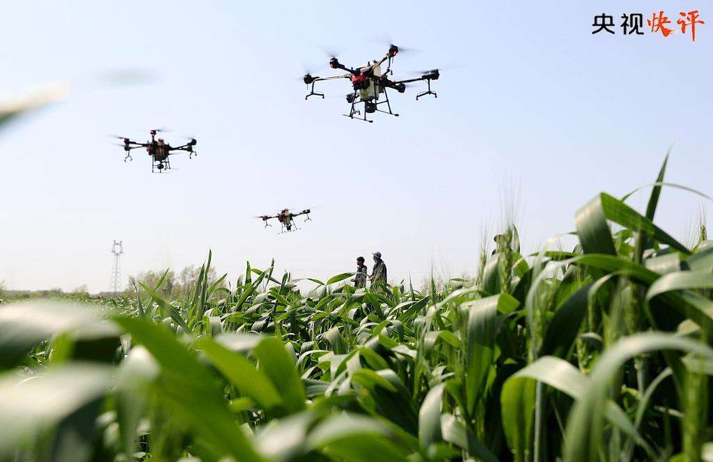 分析！质监热讯“桃红柳绿”