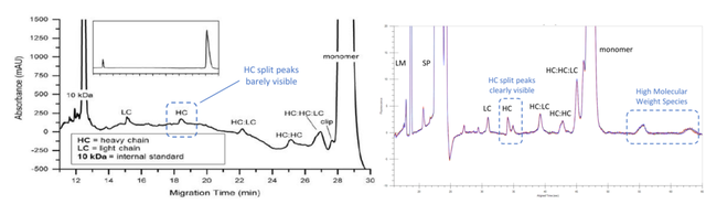 分析！bd抗体“夏花依旧”