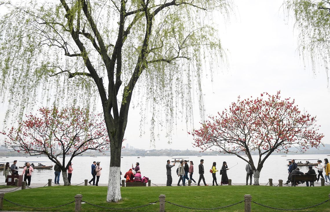 达人分享！查对方都在和谁聊天记录“桃红柳绿”