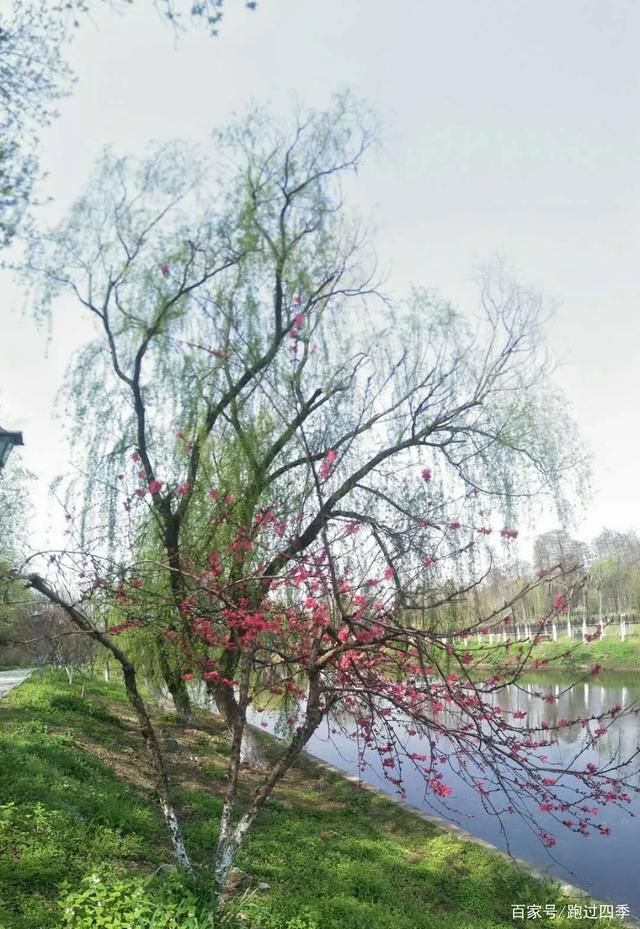 达人分享！查对方都在和谁聊天记录“桃红柳绿”