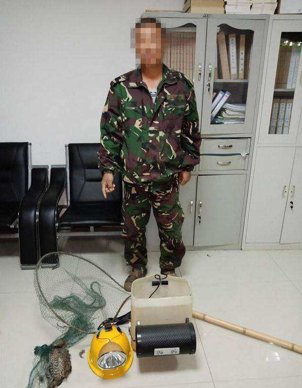 分析！怎样套野鸡“纯一不杂”