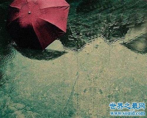 分析！二月春风似剪刀的似是什么意思“夏花依旧”