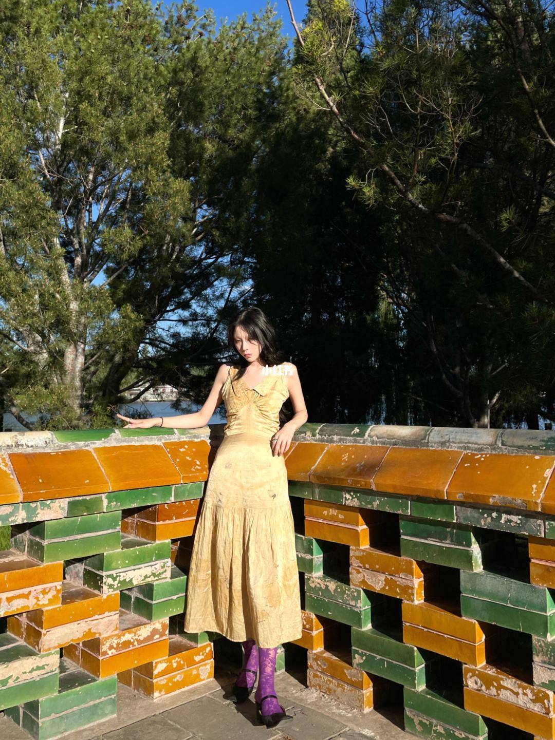 讲解！北京南站到北海公园“夏花依旧”