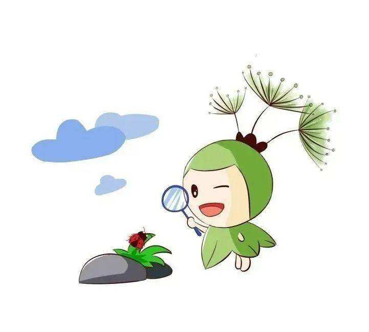 讲解！关于小满的人生哲理“雁过留声”