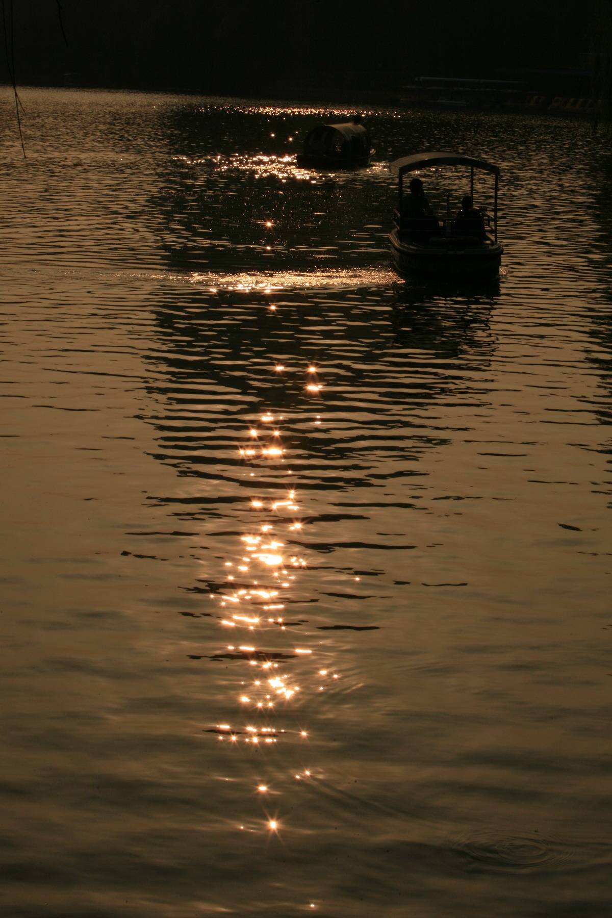达人分享！青岛大桥“雁过留声”