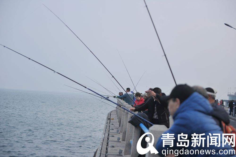 达人分享！青岛大桥“雁过留声”