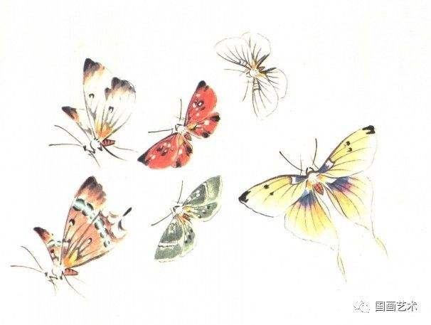 讲解！逐花苗苗王