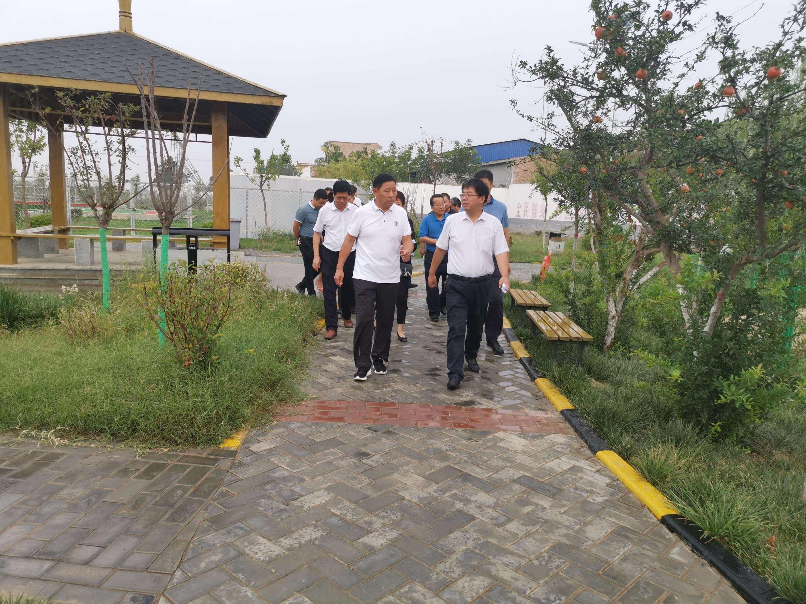 讲解！兰考弃儿“纯一不杂”