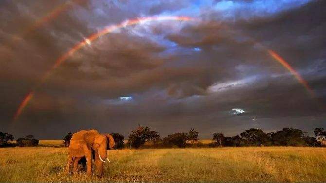 达人分享！bbc广岛核爆“典则俊雅”