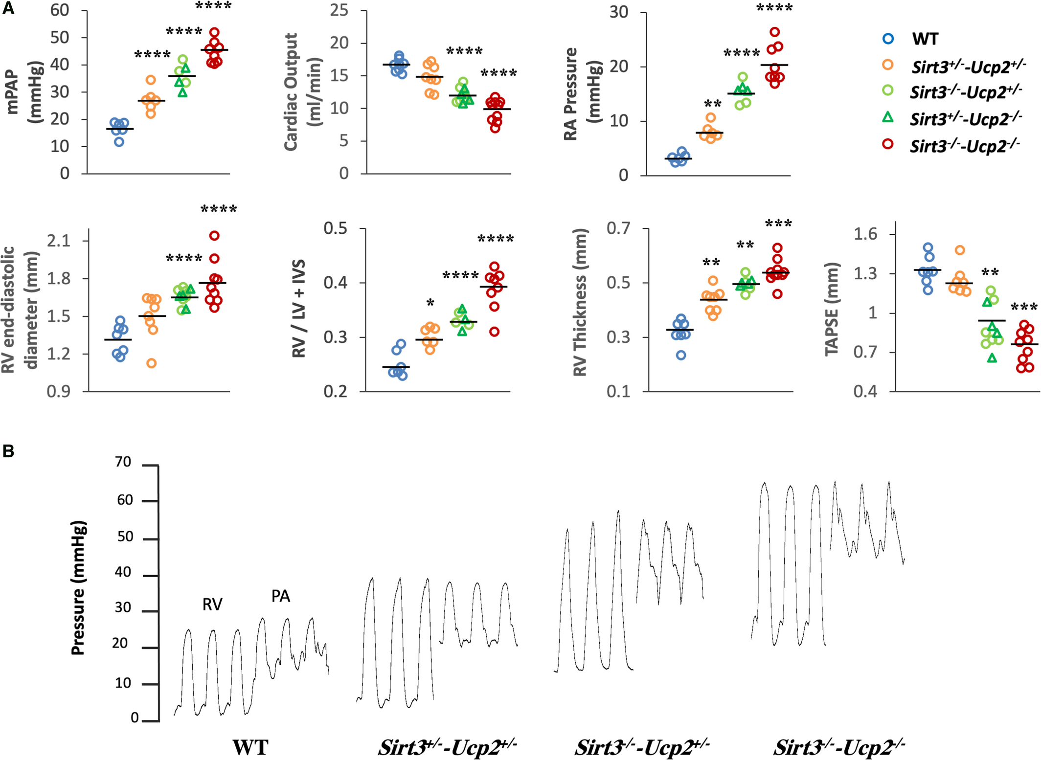 分析！halo原唱“纯一不杂”