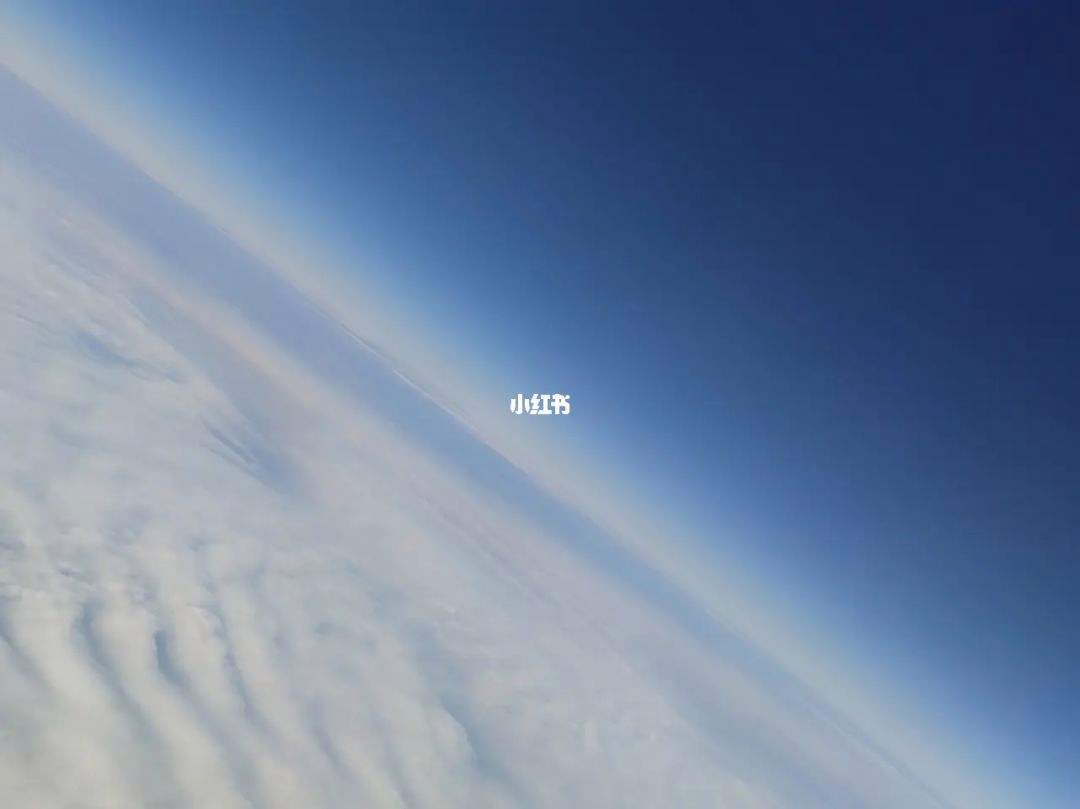 分析！海天一色自助“典则俊雅”