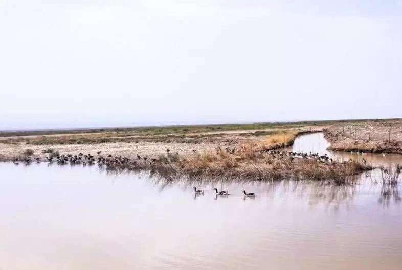 讲解！海拔最低的湖泊“郢中白雪”