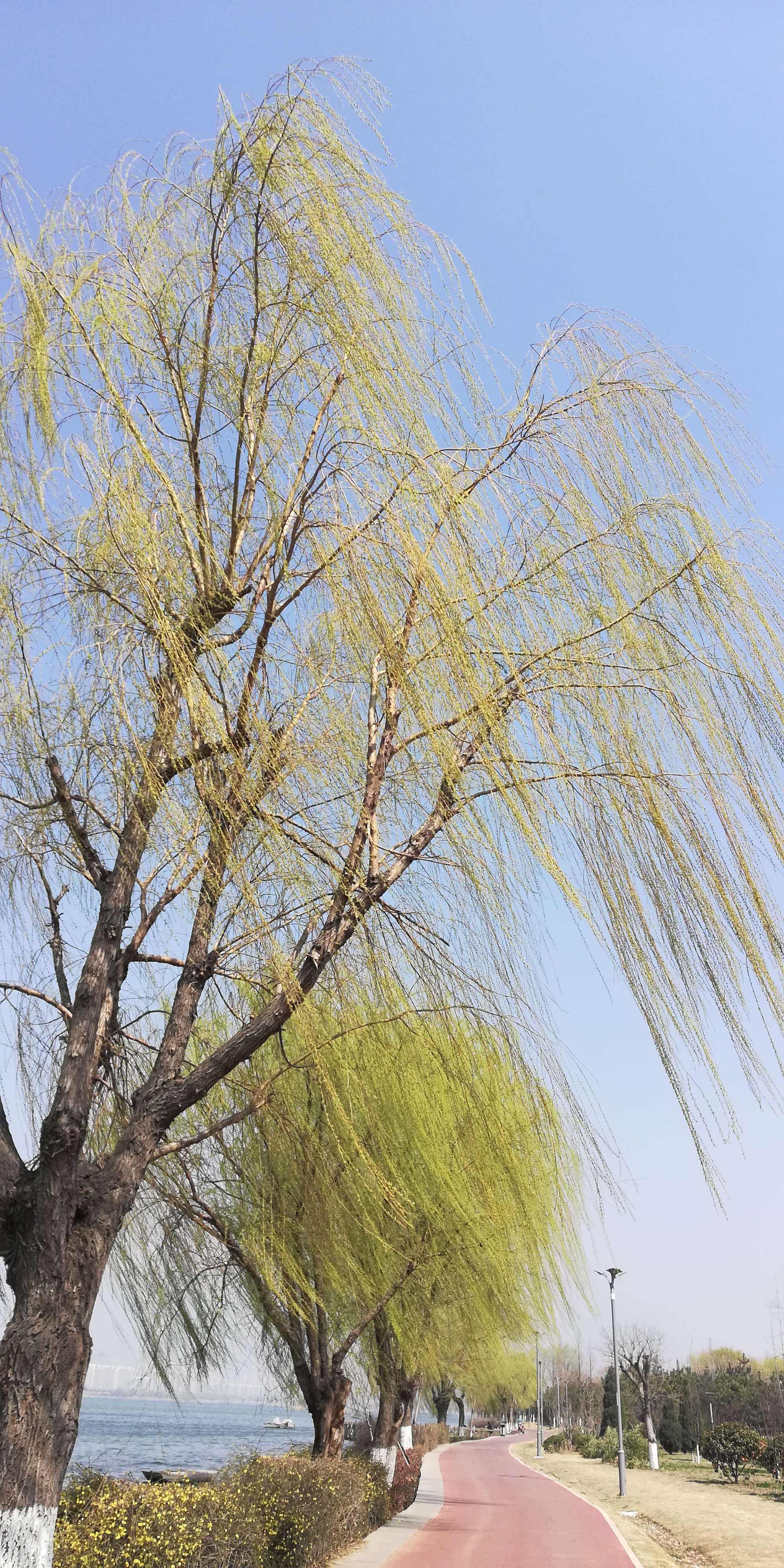 达人分享！什么二月春风似剪刀