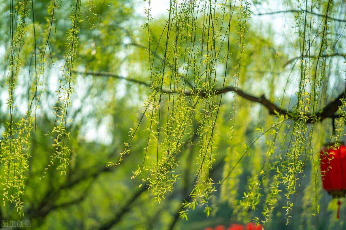 达人分享！什么二月春风似剪刀