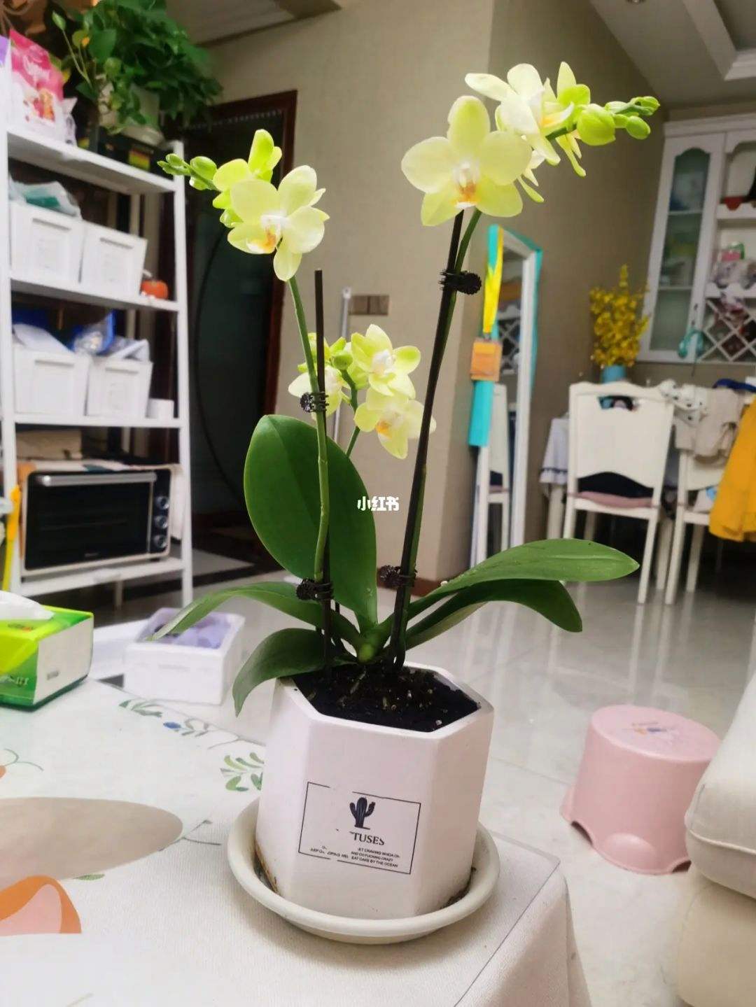 讲解！如何进入别人的电脑“空谷幽兰”