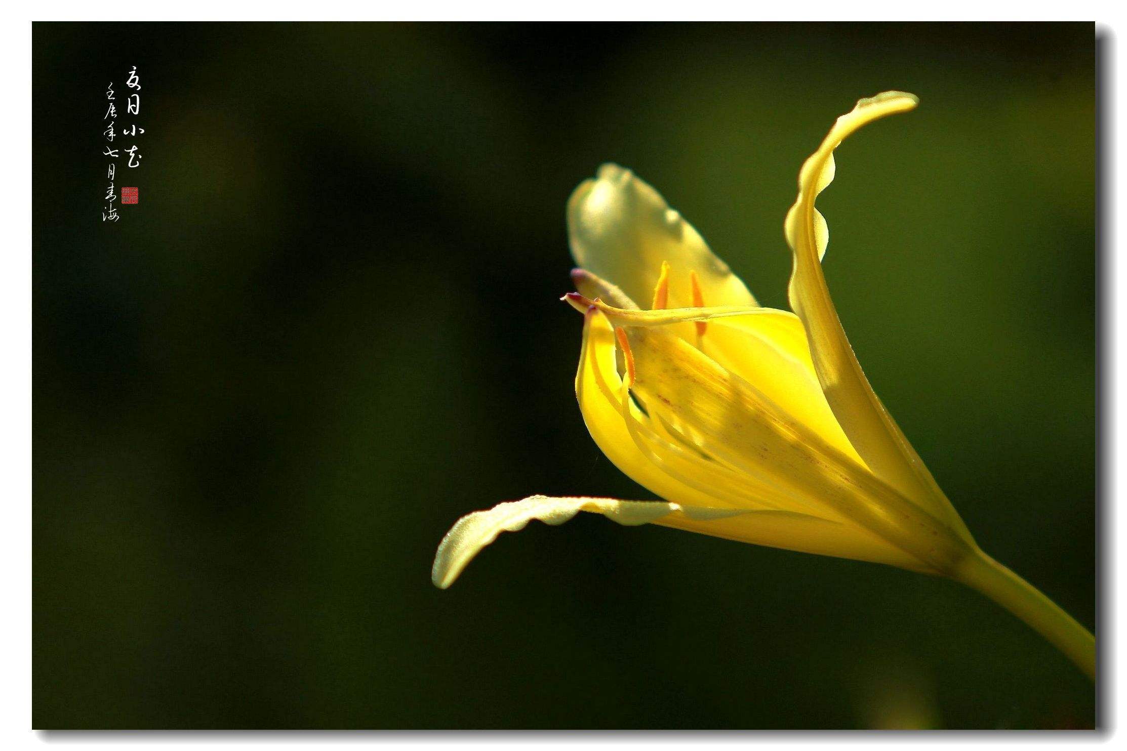 讲解！如何进入别人的电脑“空谷幽兰”