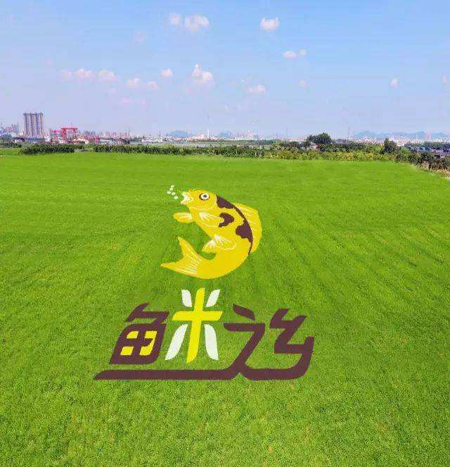 达人分享！丰收乐多多“星星点点”