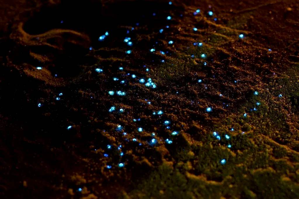 达人分享！黑客群“星星点点”