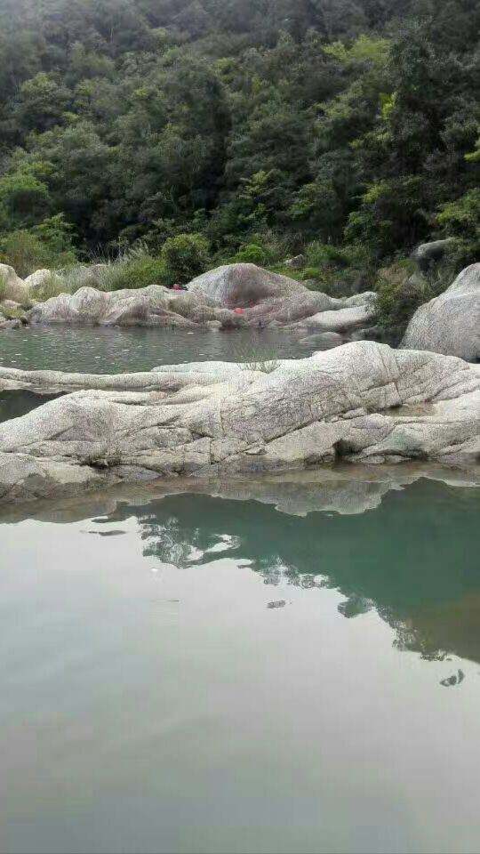 讲解！博罗象头山“空谷幽兰”