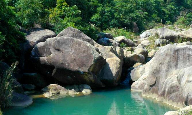 讲解！博罗象头山“空谷幽兰”
