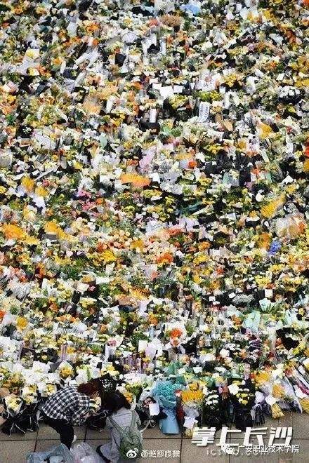 讲解！恸震“桃红柳绿”