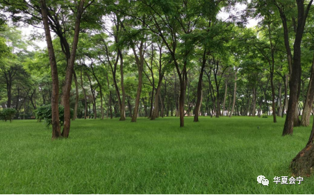 讲解！恸震“桃红柳绿”