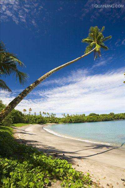 讲解！萨摩亚太阳神“一抹红尘”