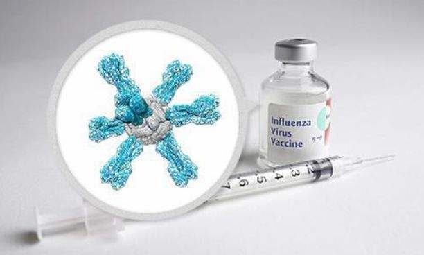 分析！印度制造疫苗将问世“夏花依旧”