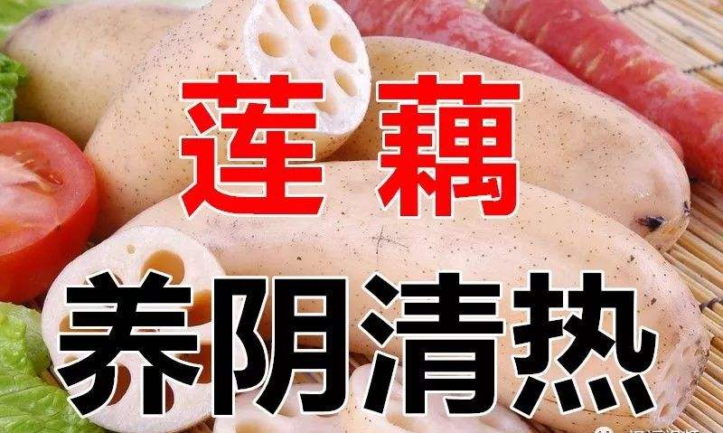 分析！阳气者烦劳则张“夏花依旧”