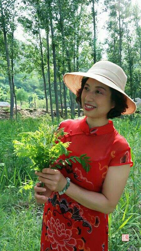 分析！湖南卫监局长去世“夏花依旧”