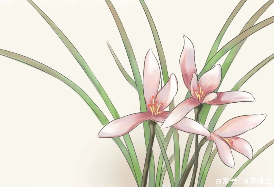 达人分享！心动心如“空谷幽兰”